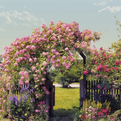 8-936-Rose-Garden Фотообои Komar Flowers & Textures x
